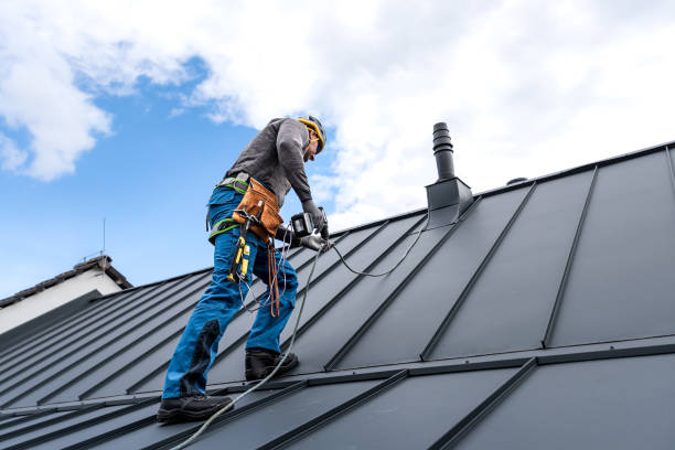 Best Metal Roofing Installation  in Ferris, TX