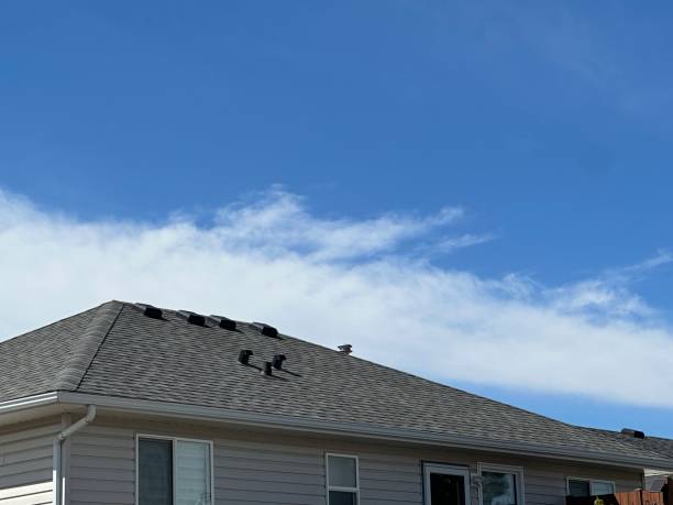 Best Roof Coating Services  in Ferris, TX